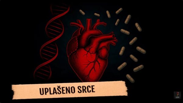 upaseno srce sinobusi